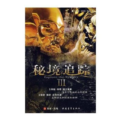 某种存在与人类之间，当保持内心极其安静情况下，就会听见或看见某些真实发生的事情，人类称为什么？游戏画面